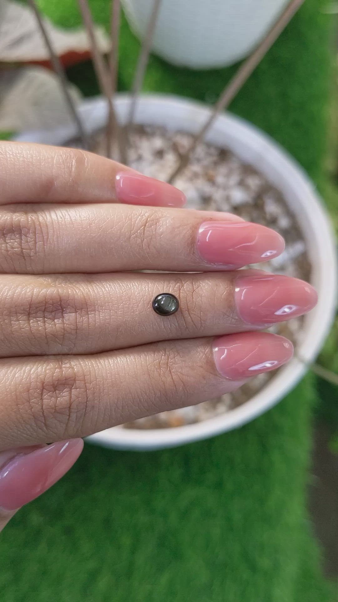 0.73 Ct. Black Star Sapphire from Ceylon (Sri Lanka) Size Video