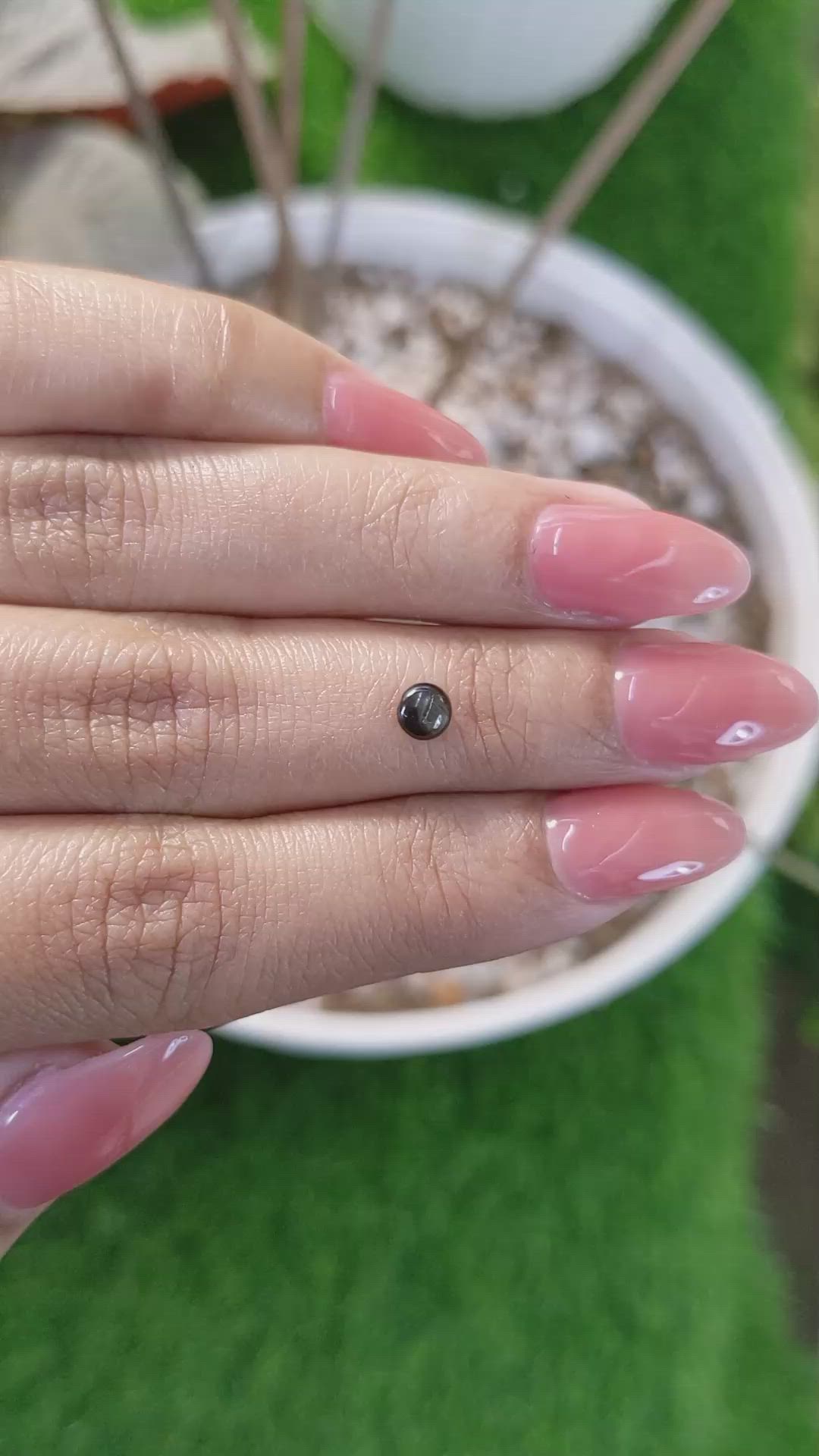 0.48 Ct. Black Star Sapphire from Ceylon (Sri Lanka) Size Video