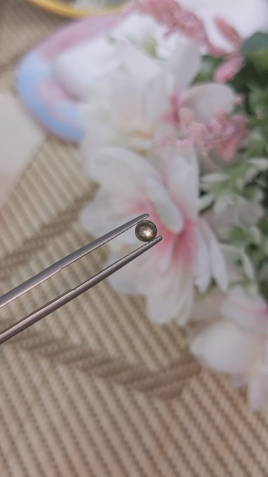 0.74 Ct. Greenish Brown Star Sapphire from Ceylon (Sri Lanka) Size Video