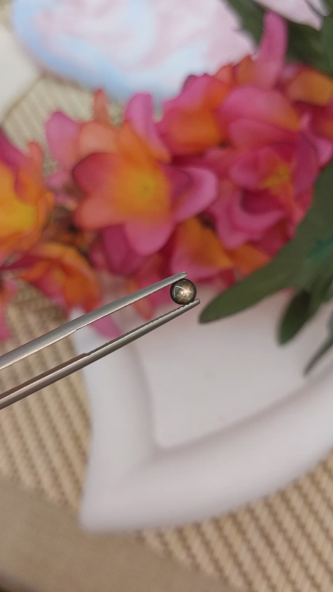 0.53 Ct. Black Star Sapphire from Ceylon (Sri Lanka) Size Video