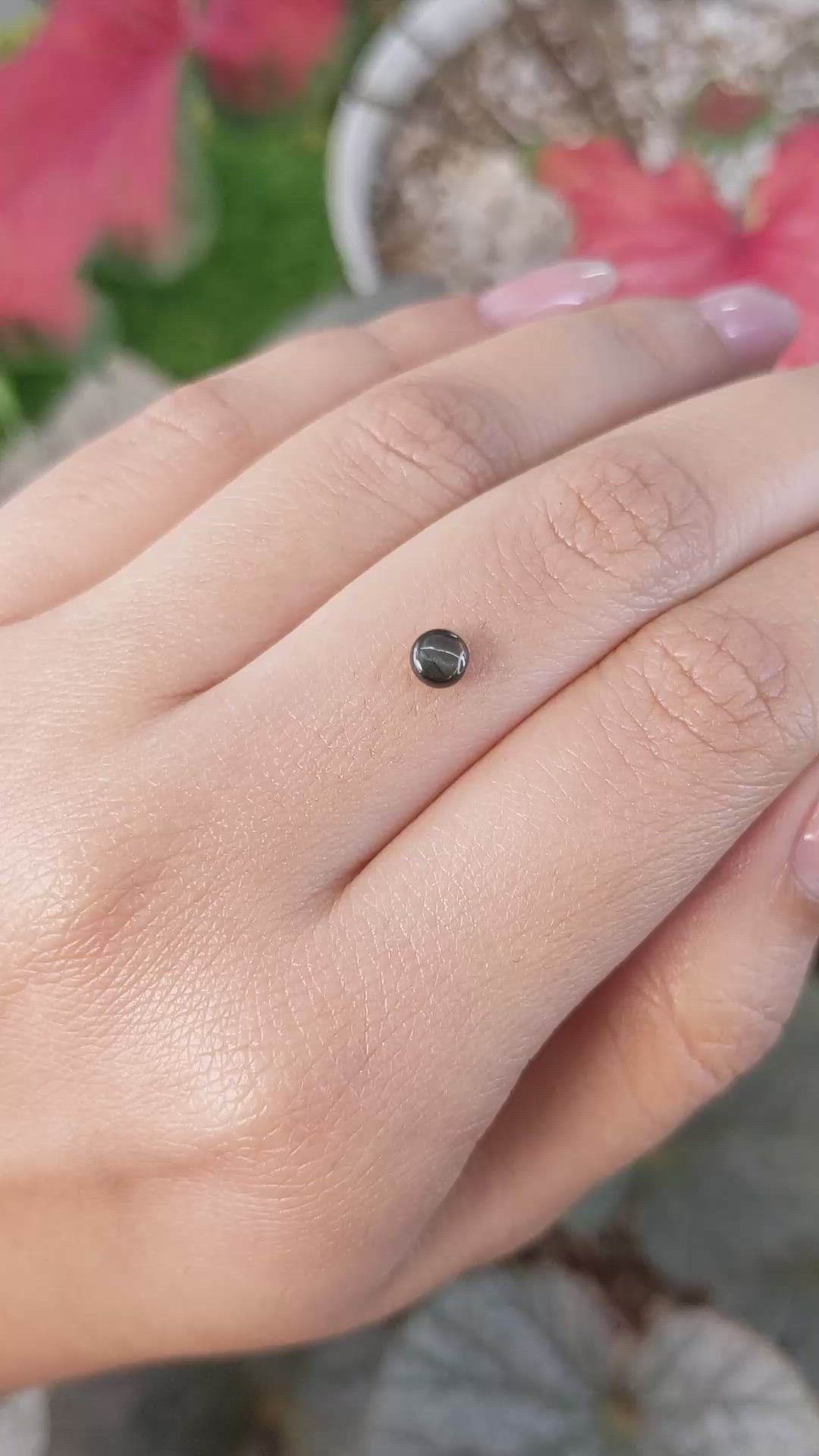 0.53 Ct. Black Star Sapphire from Ceylon (Sri Lanka) Size Video