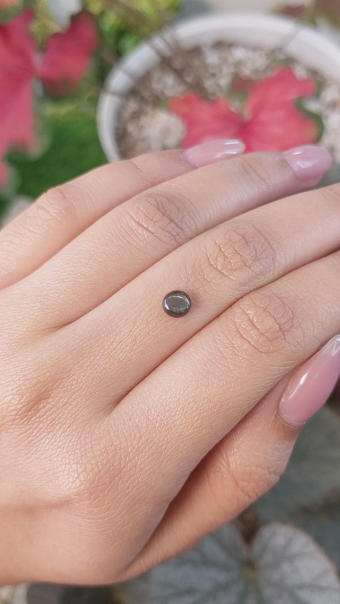 0.78 Ct. Brown Star Sapphire from Ceylon (Sri Lanka) Size Video