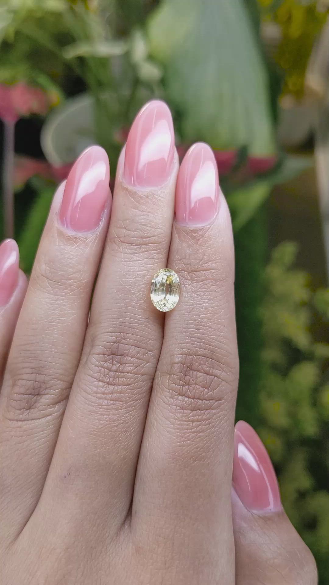 2.12 Ct. Yellow Sapphire from Ceylon (Sri Lanka) Size Video