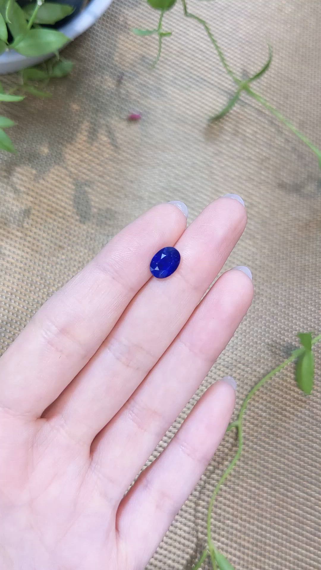 2.41 Ct. Blue Sapphire from Ceylon (Sri Lanka) Size Video
