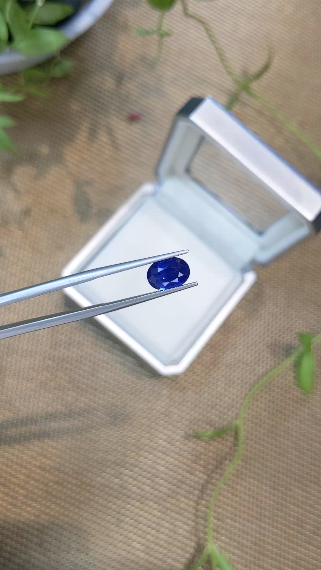 2.41 Ct. Blue Sapphire from Ceylon (Sri Lanka) Size Video