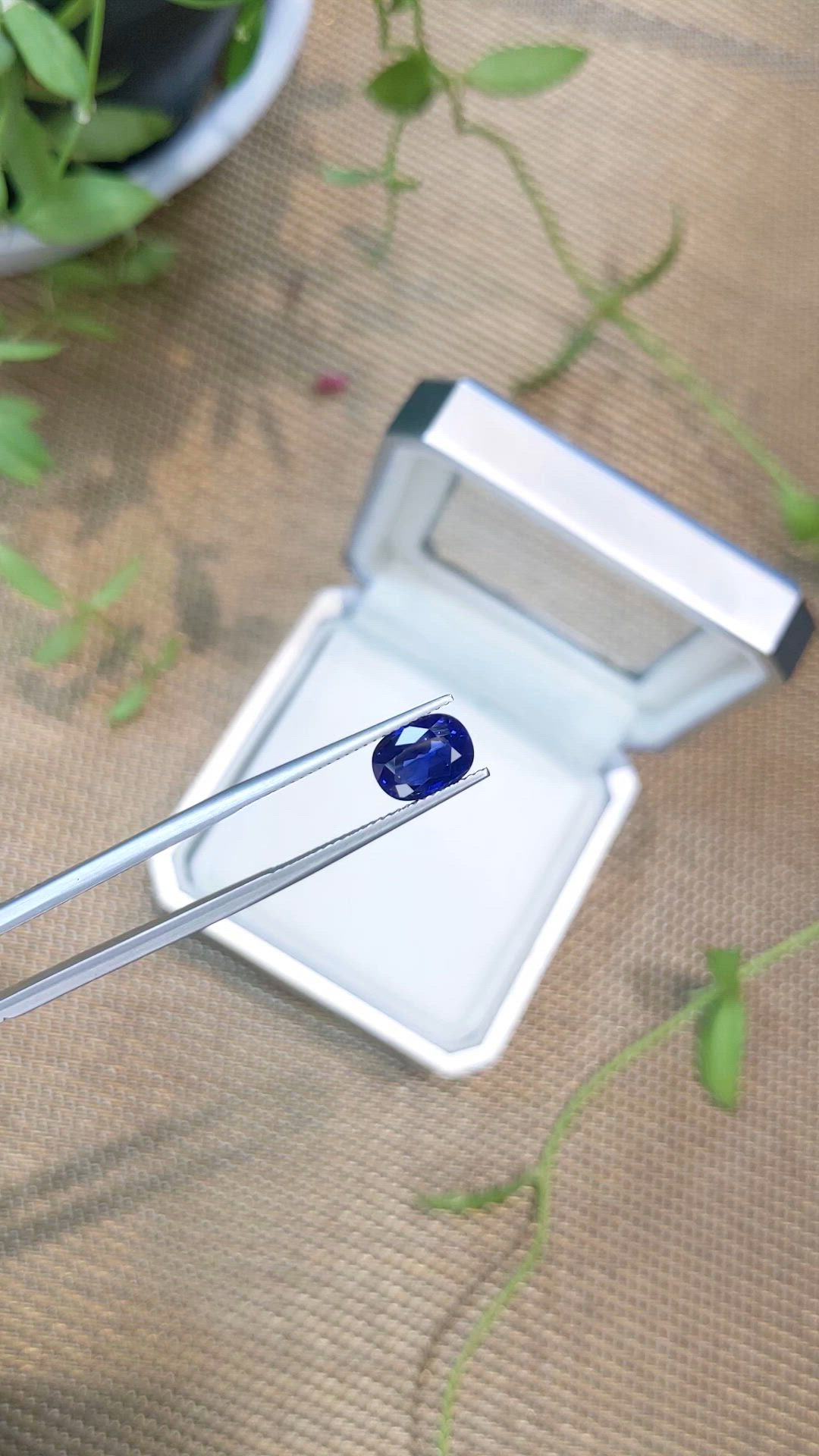 2.38 Ct. Blue Sapphire from Ceylon (Sri Lanka) Size Video