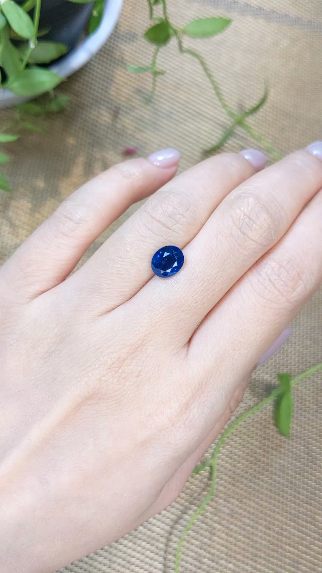 2.43 Ct. Blue Sapphire from Ceylon (Sri Lanka) Size Video