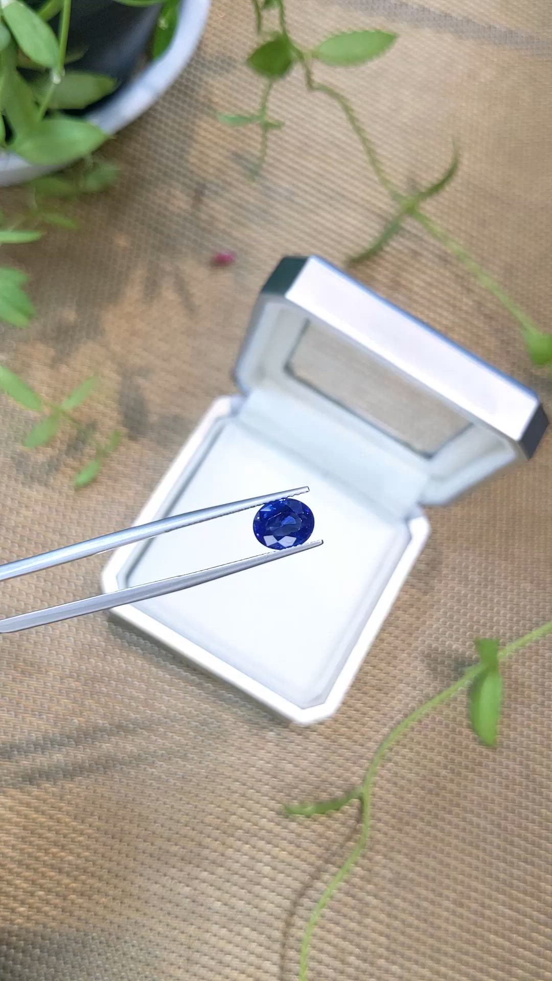 2.43 Ct. Blue Sapphire from Ceylon (Sri Lanka) Size Video