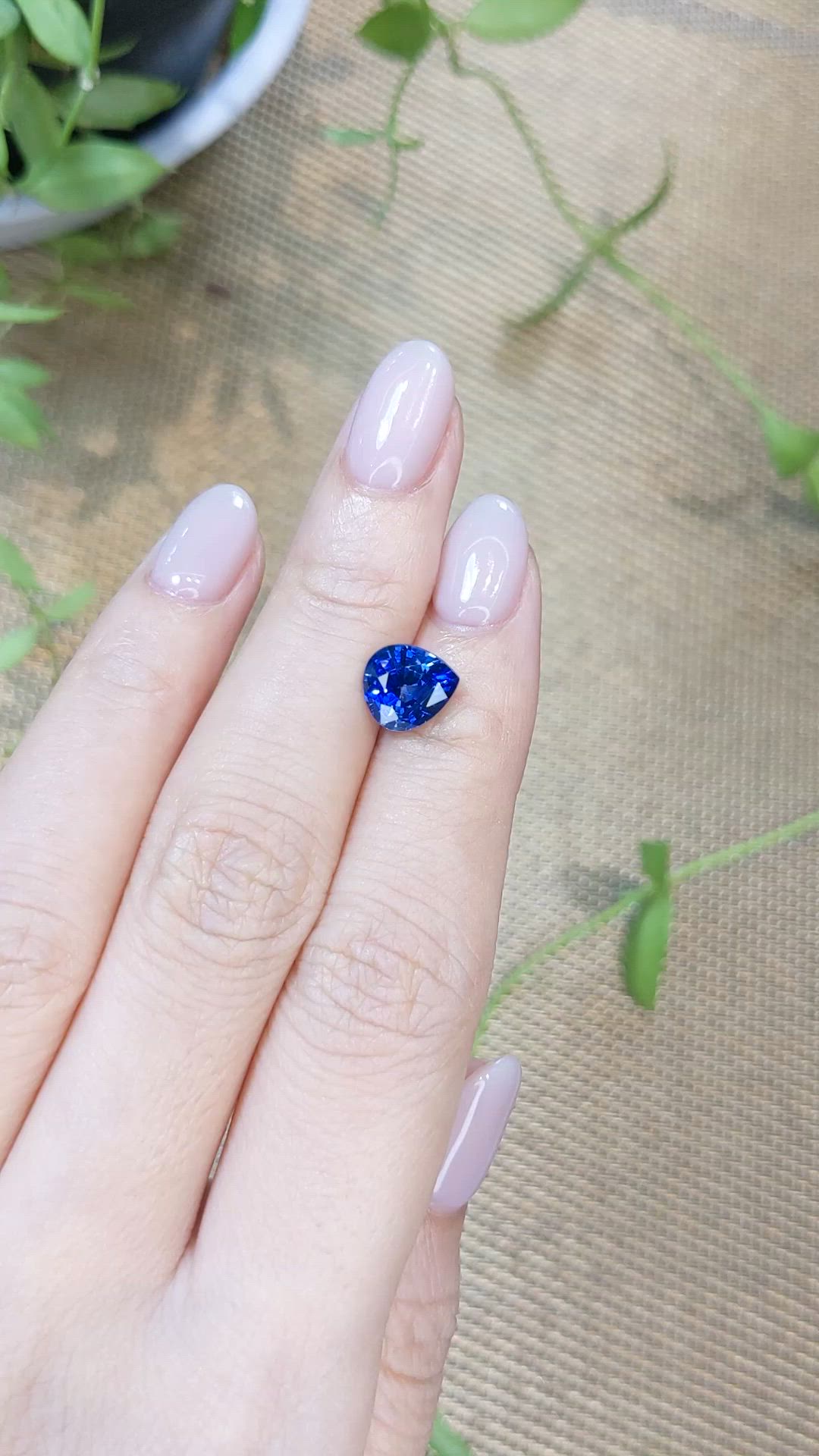 2.55 Ct. Blue Sapphire from Ceylon (Sri Lanka) Size Video