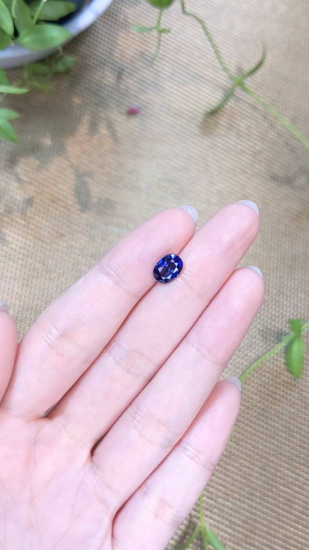 1.97 Ct. Blue Sapphire from Ceylon (Sri Lanka) Size Video