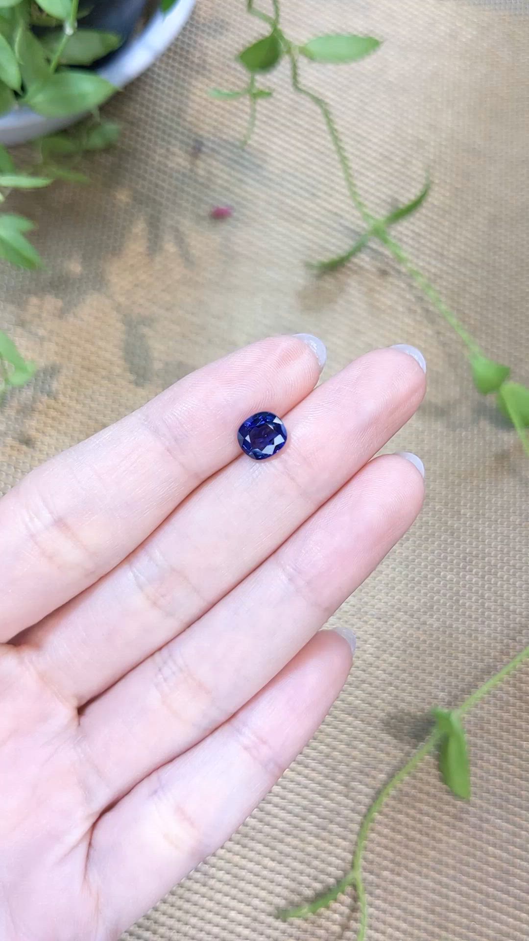 1.79 Ct. Blue Sapphire from Ceylon (Sri Lanka) Size Video