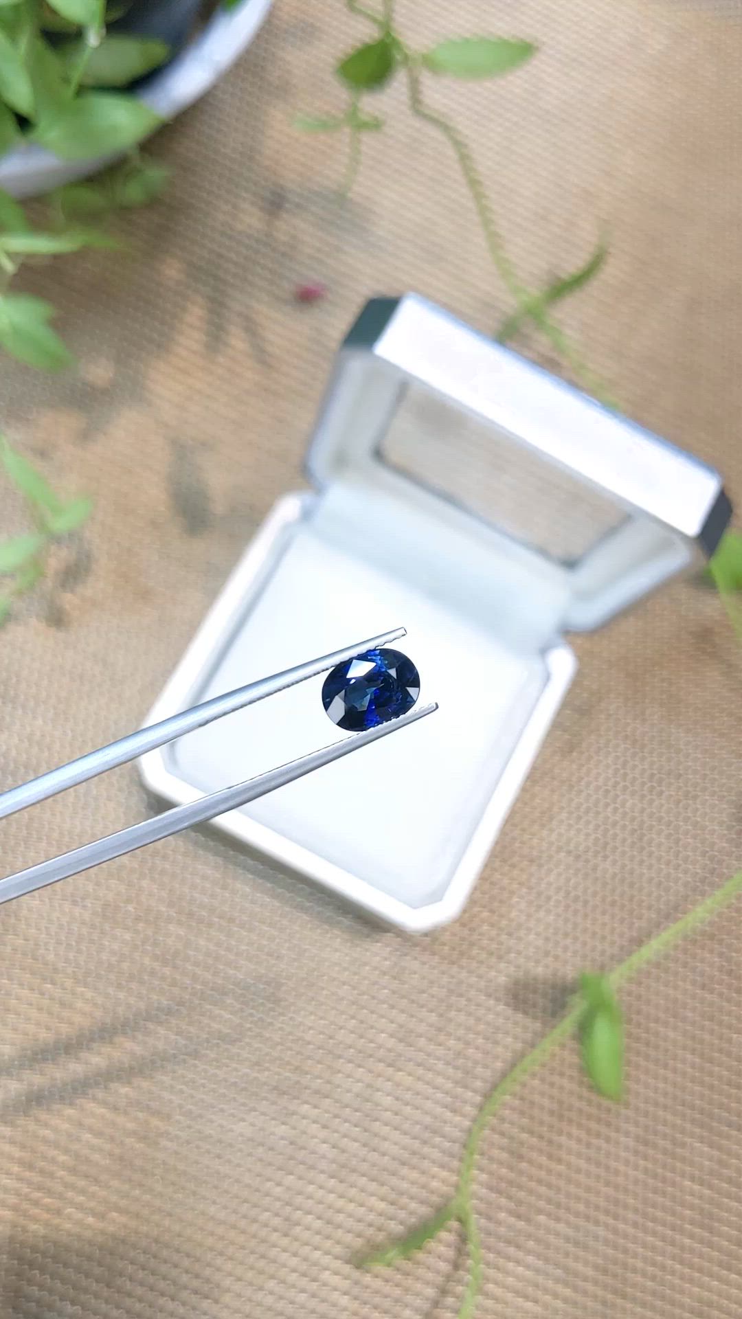 2.30 Ct. Blue Sapphire from Ceylon (Sri Lanka) Size Video