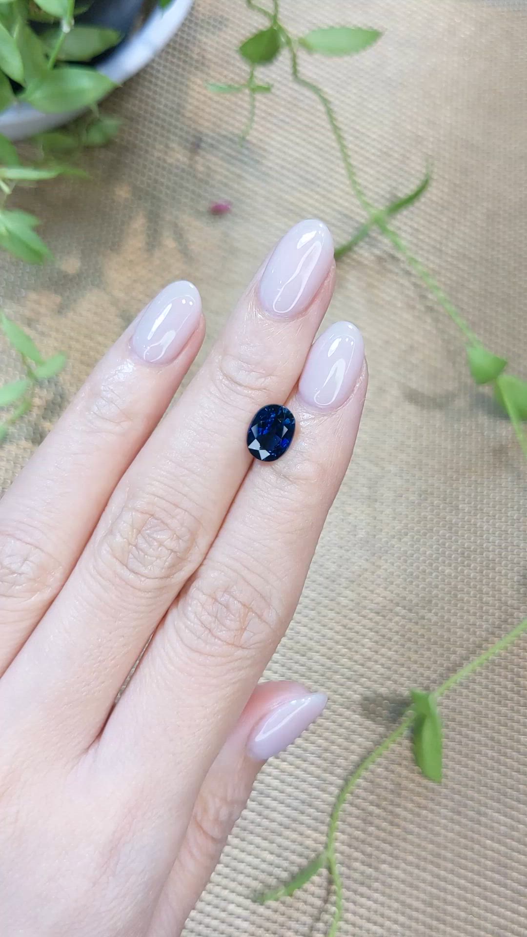2.30 Ct. Blue Sapphire from Ceylon (Sri Lanka) Size Video