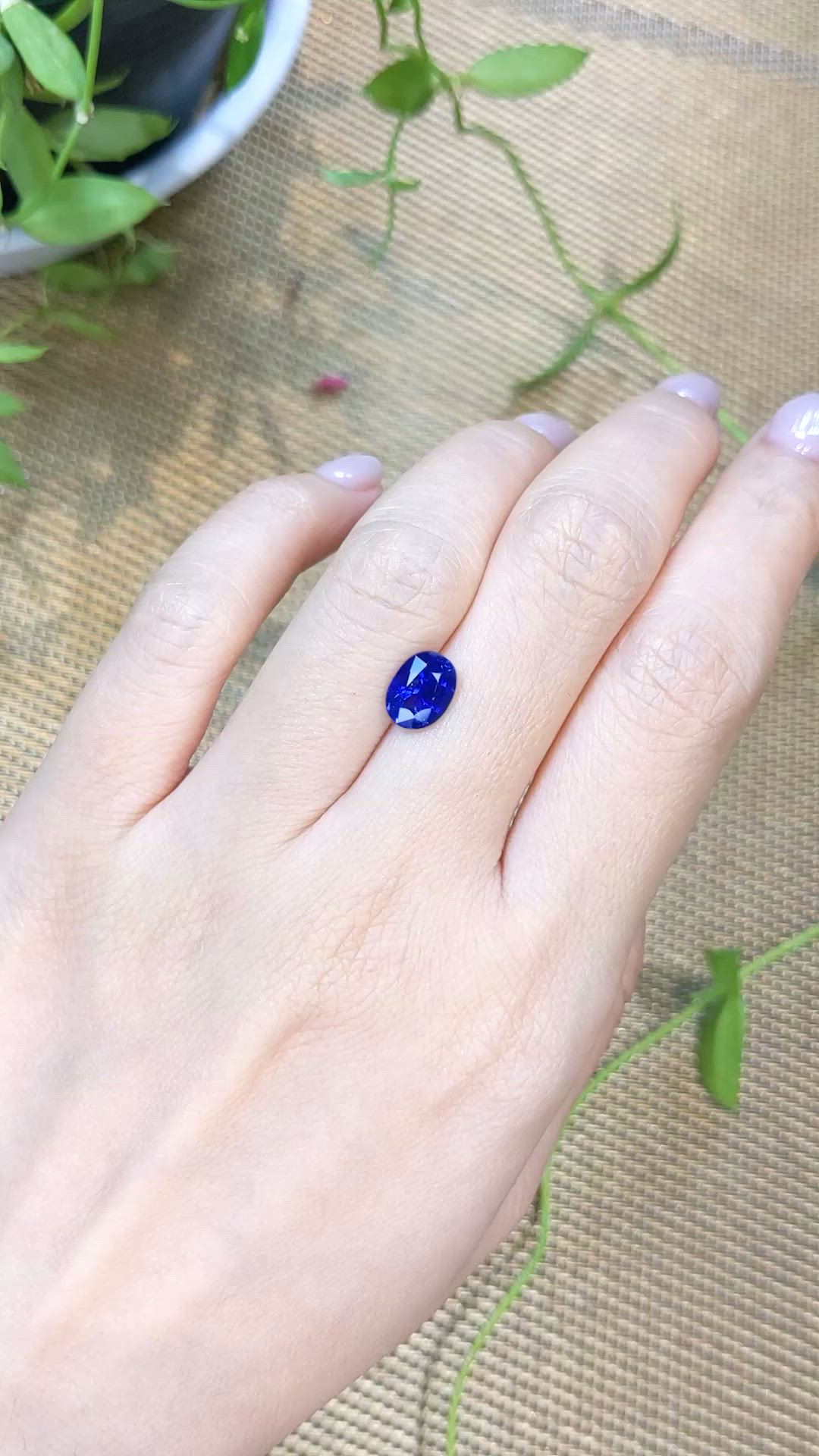 2.05 Ct. Blue Sapphire from Ceylon (Sri Lanka) Size Video