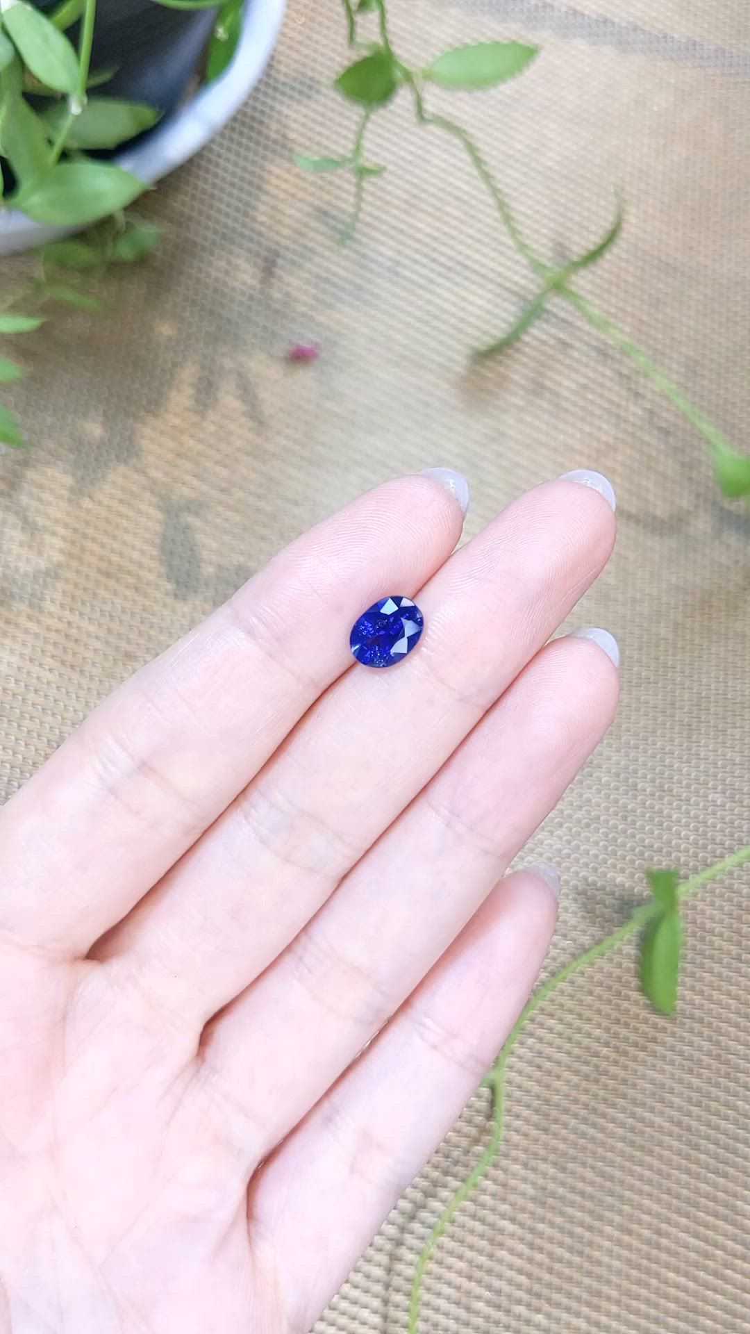 2.05 Ct. Blue Sapphire from Ceylon (Sri Lanka) Size Video
