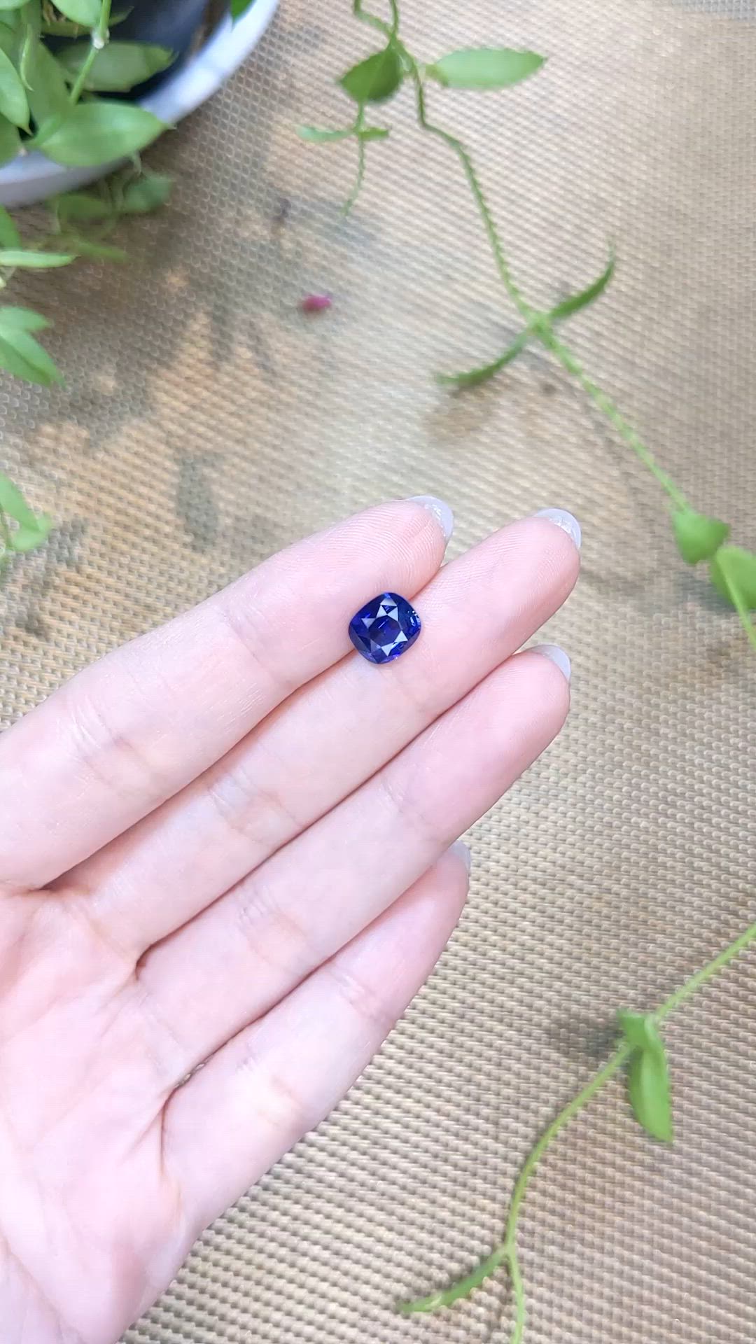 2.14 Ct. Blue Sapphire from Ceylon (Sri Lanka) Size Video
