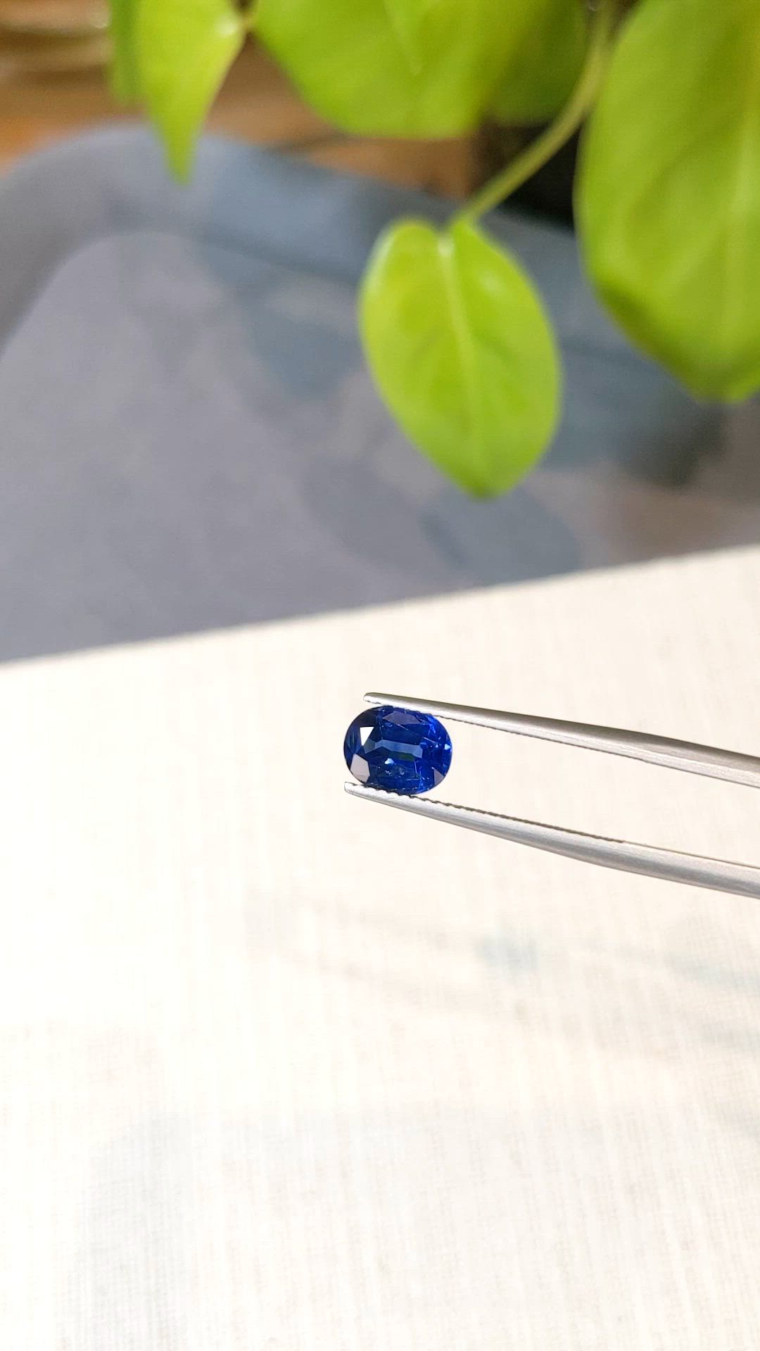 1.79 Ct. Blue Sapphire from Ceylon (Sri Lanka) Size Video