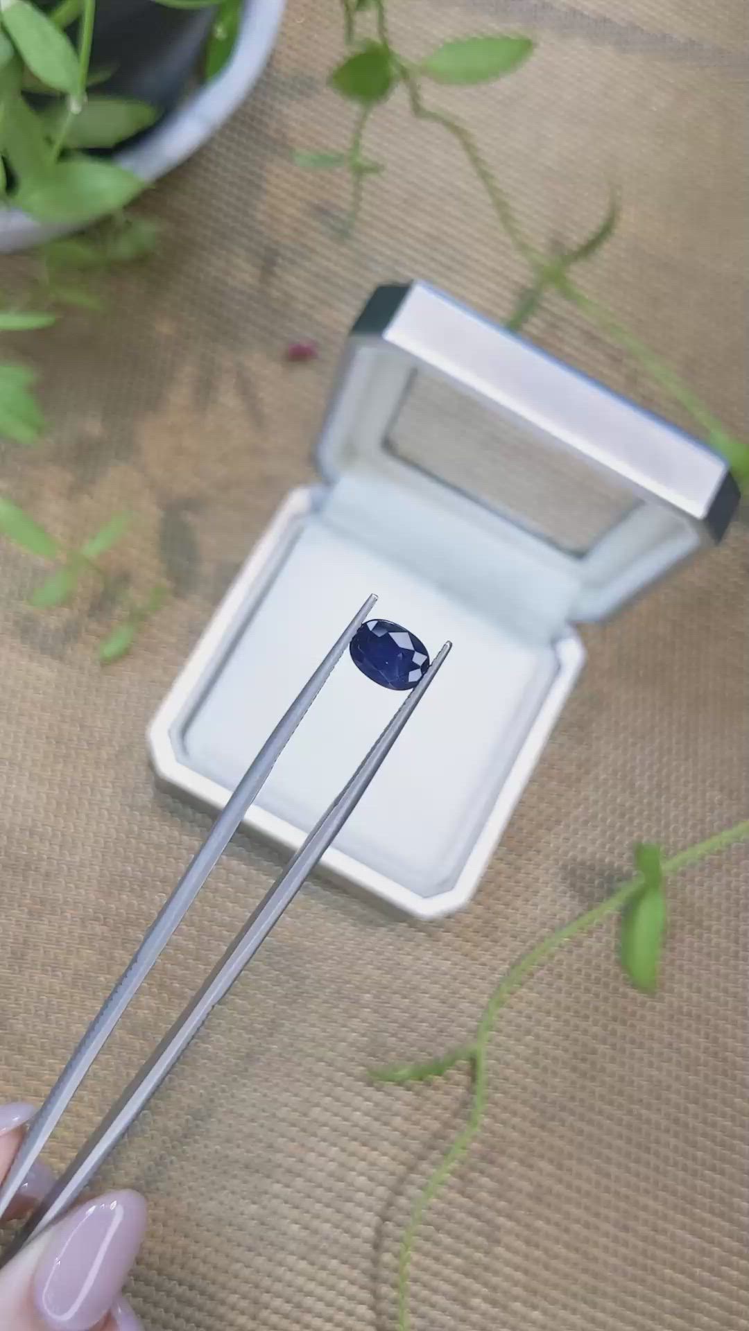 1.67 Ct. Blue Sapphire from Ceylon (Sri Lanka) Size Video
