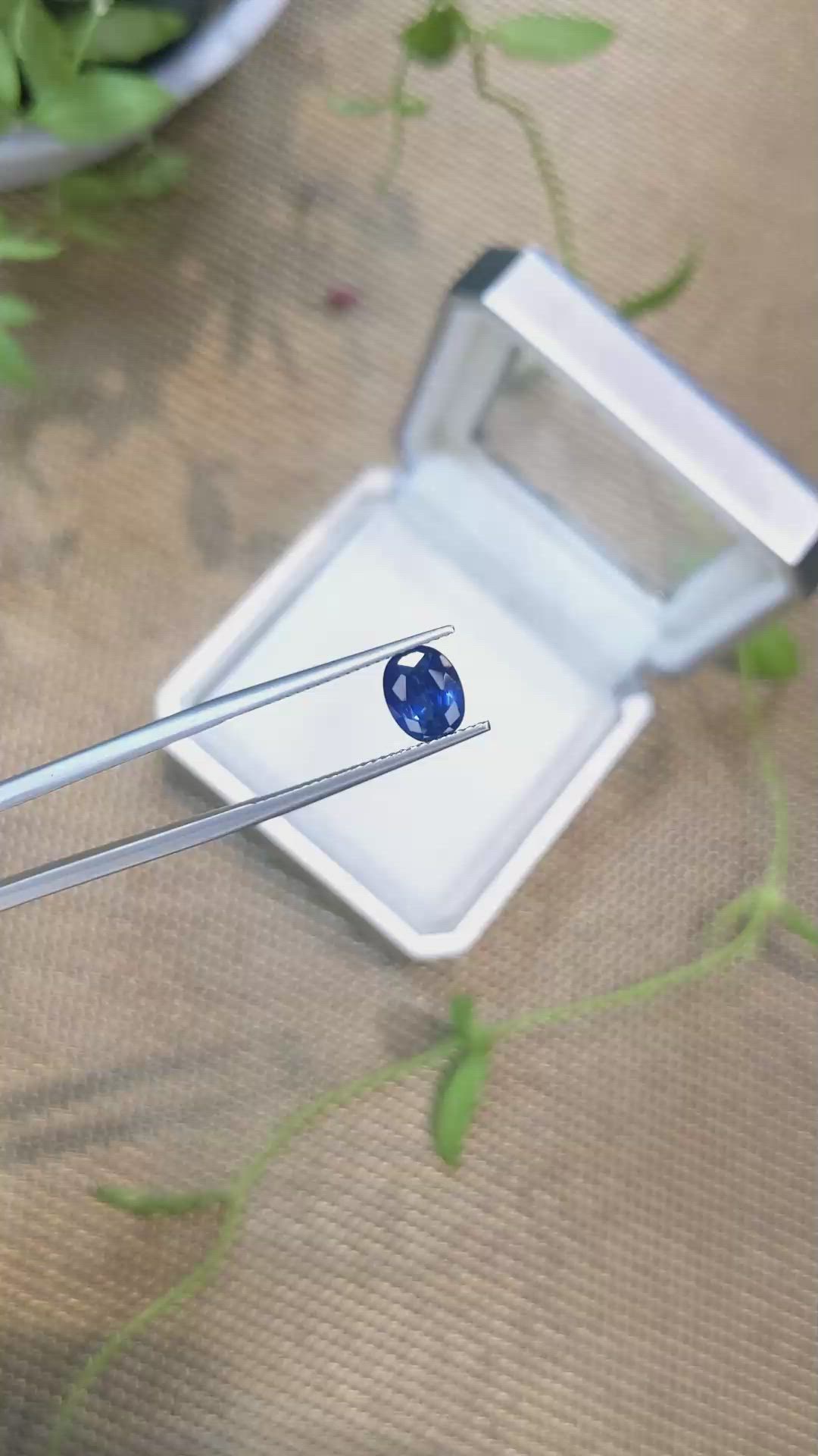 1.51 Ct. Blue Sapphire from Ceylon (Sri Lanka) Size Video