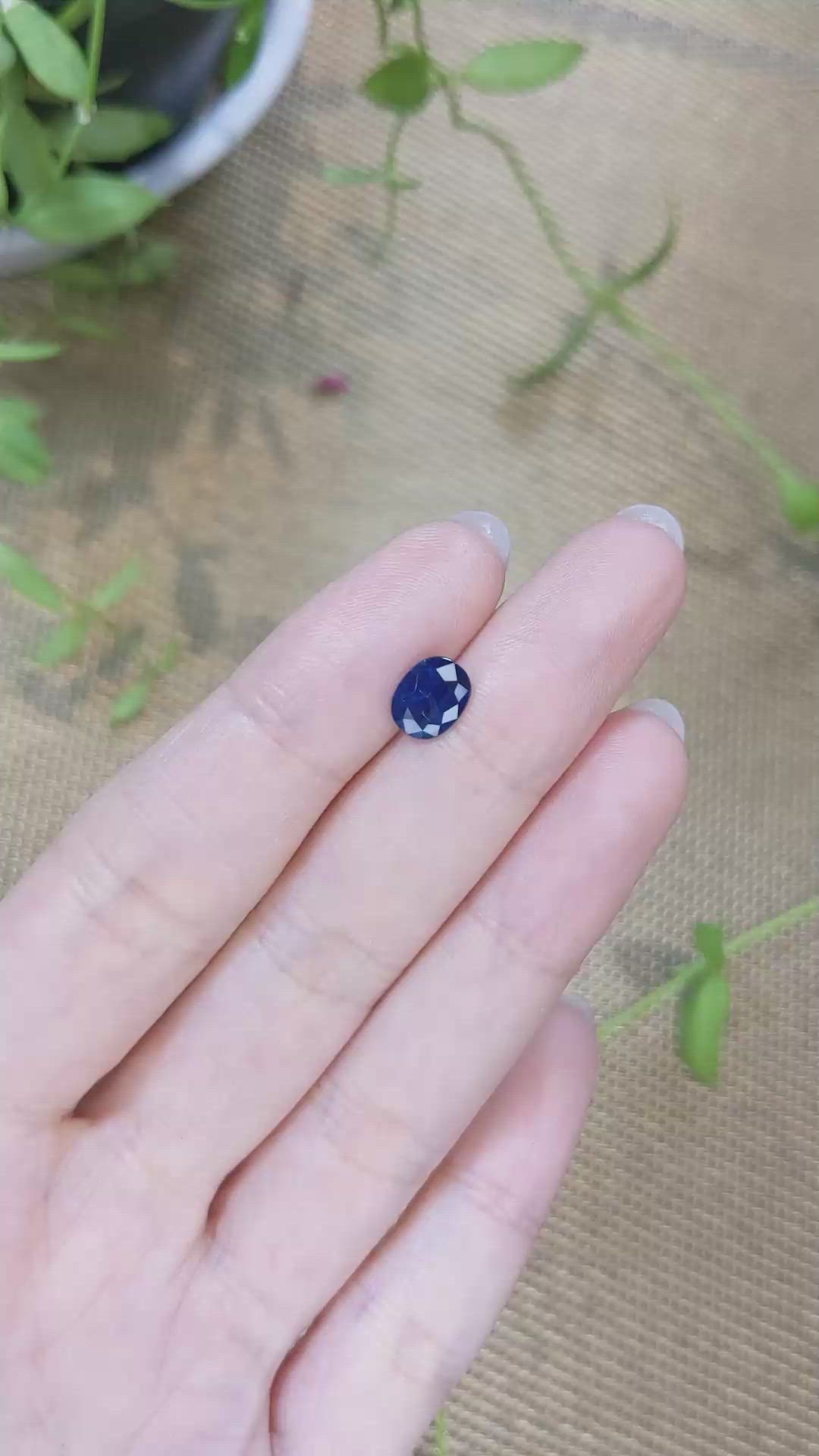 1.42 Ct. Blue Sapphire from Ceylon (Sri Lanka) Size Video