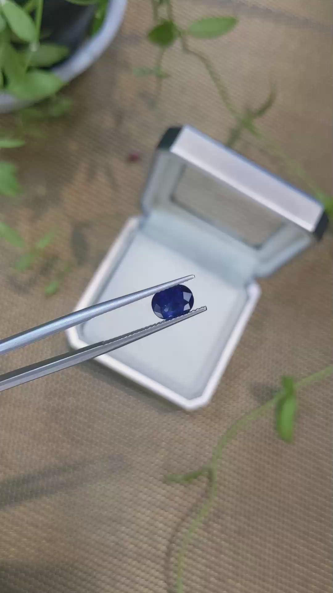 1.42 Ct. Blue Sapphire from Ceylon (Sri Lanka) Size Video