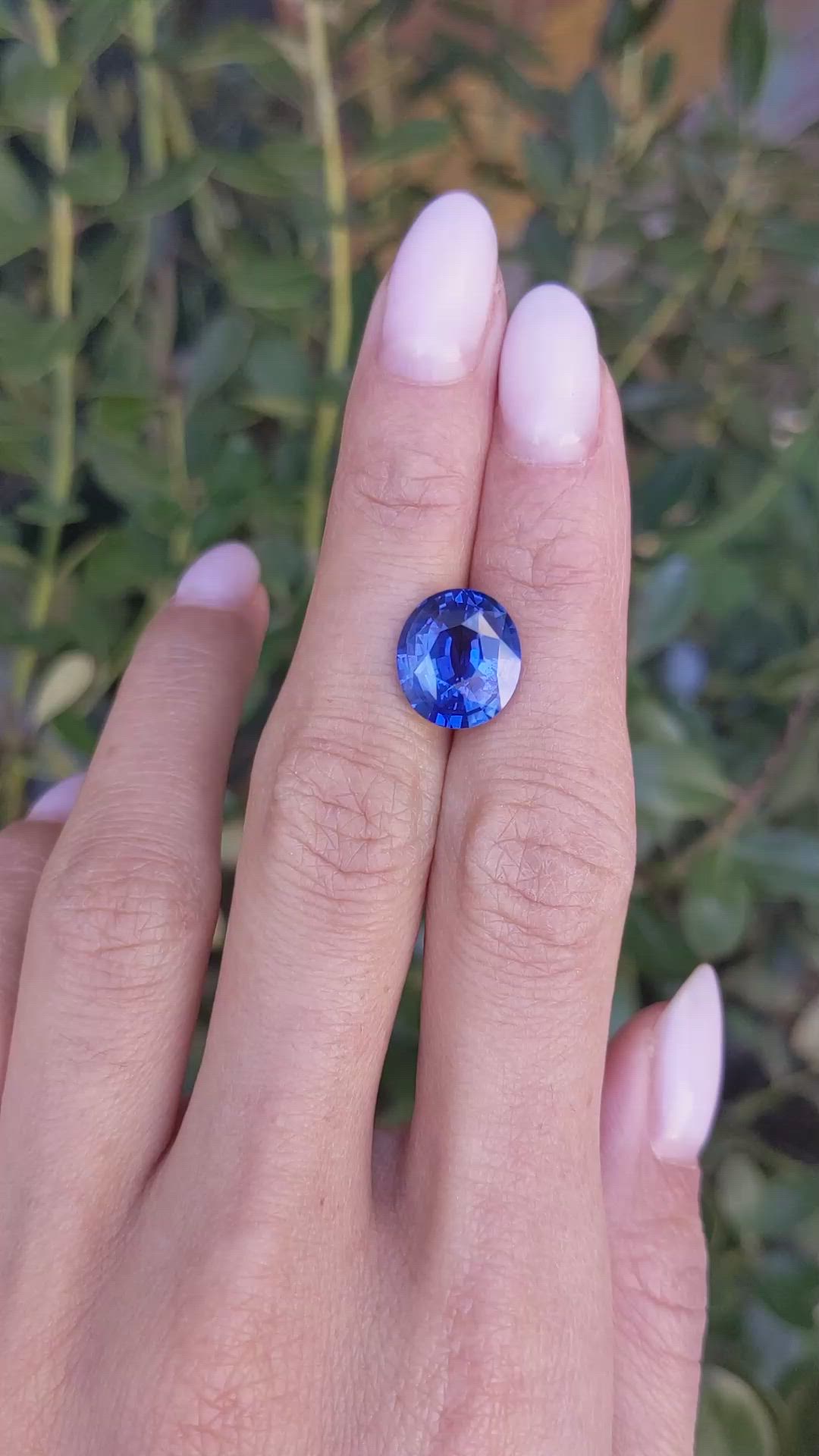 6.51 Ct. Blue Sapphire from Ceylon (Sri Lanka) Size Video