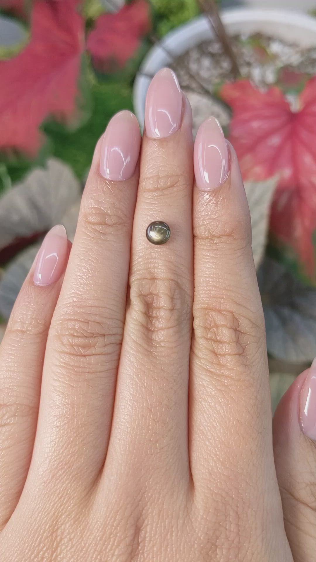 0.63 Ct. Black Star Sapphire from Ceylon (Sri Lanka) Size Video