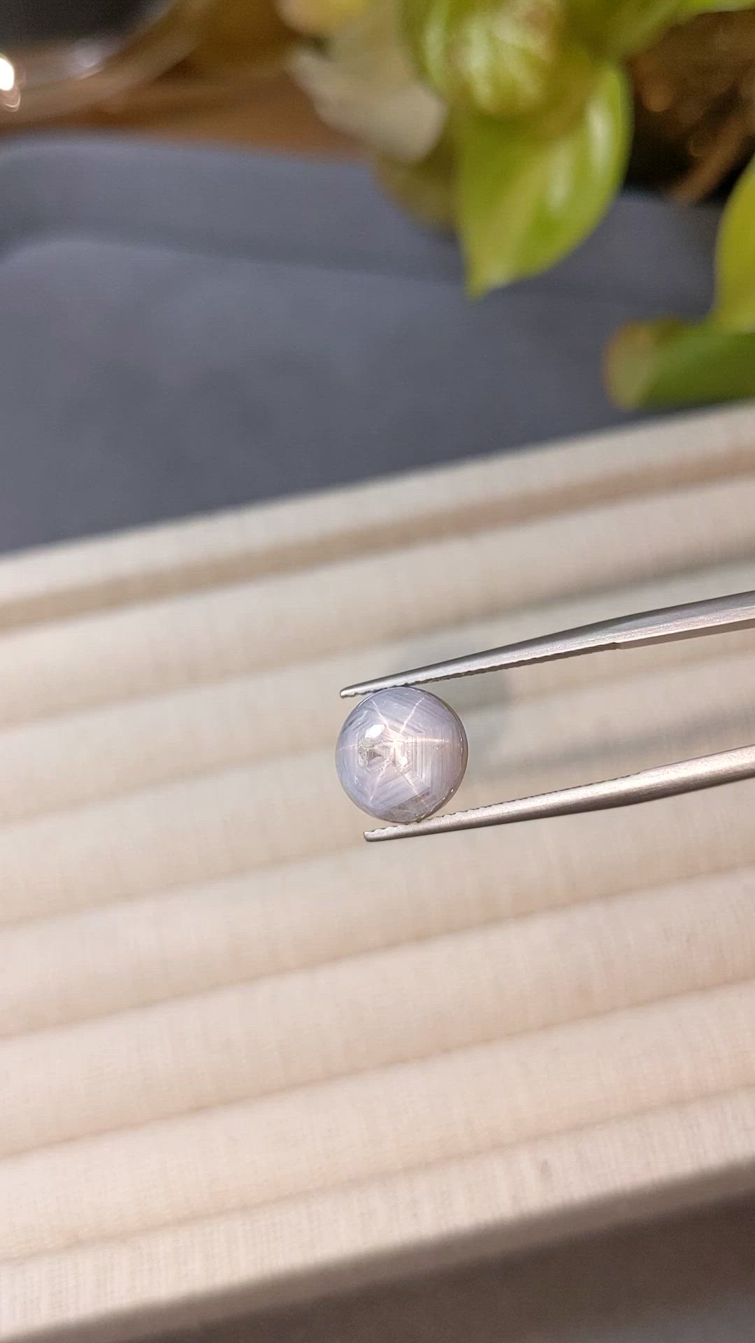 6.61 Ct. Grey Star Sapphire from Burma (Myanmar) Size Video