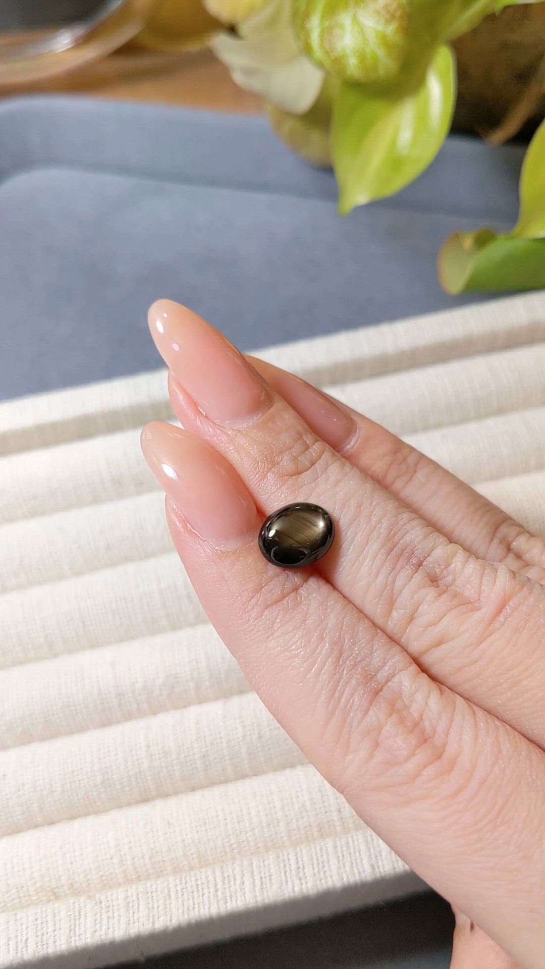 2.99 Ct. Black Star Sapphire from Thailand Size Video