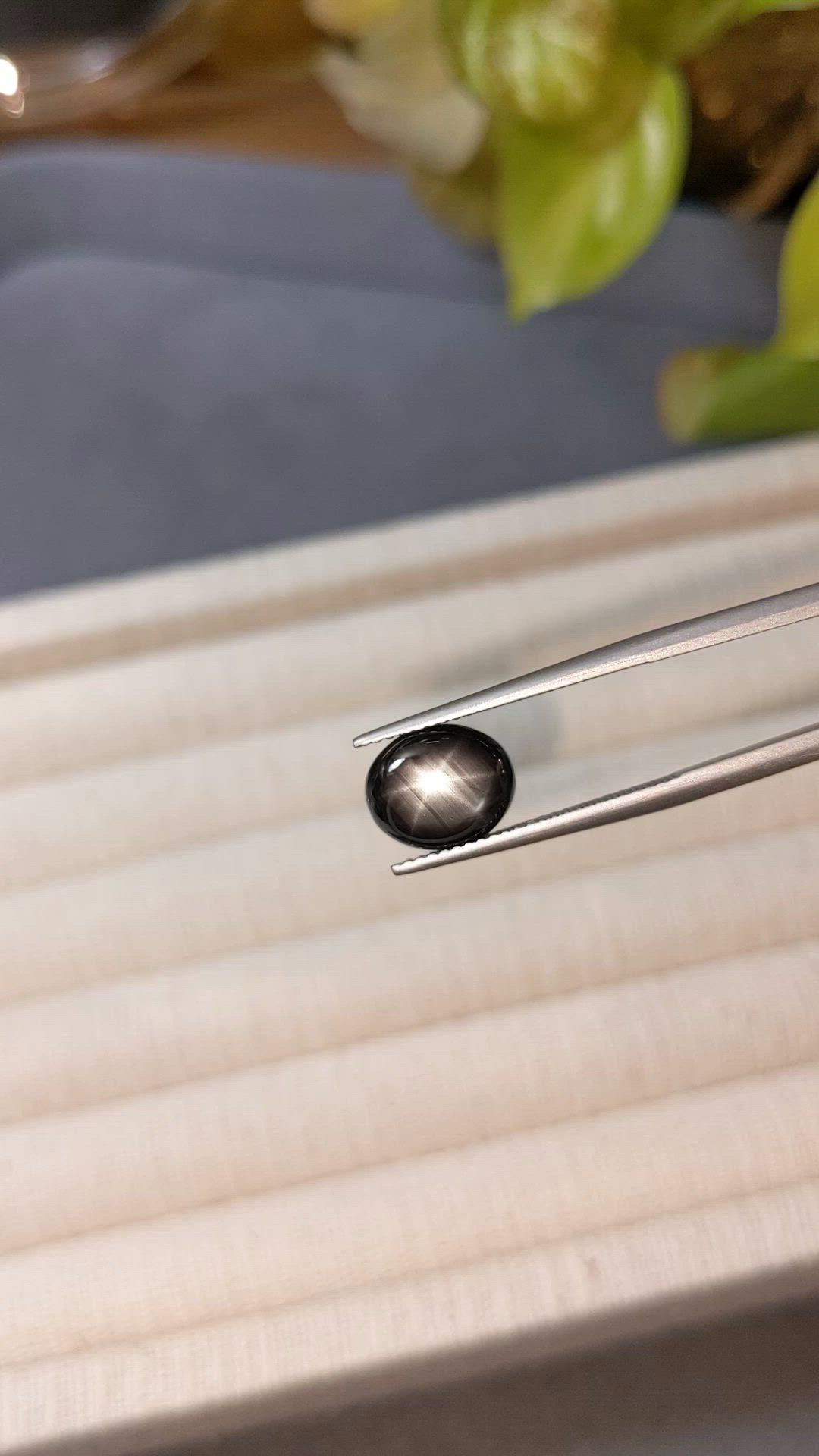 2.99 Ct. Black Star Sapphire from Thailand Size Video