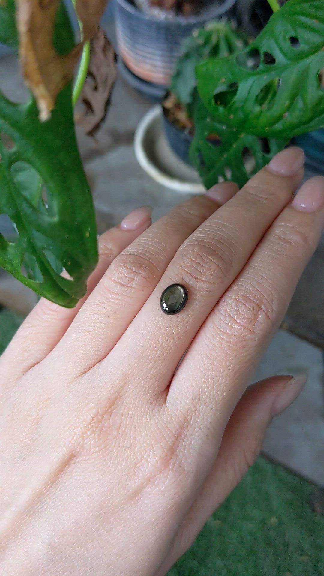 1.85 Ct. Black Star Sapphire from Thailand Size Video
