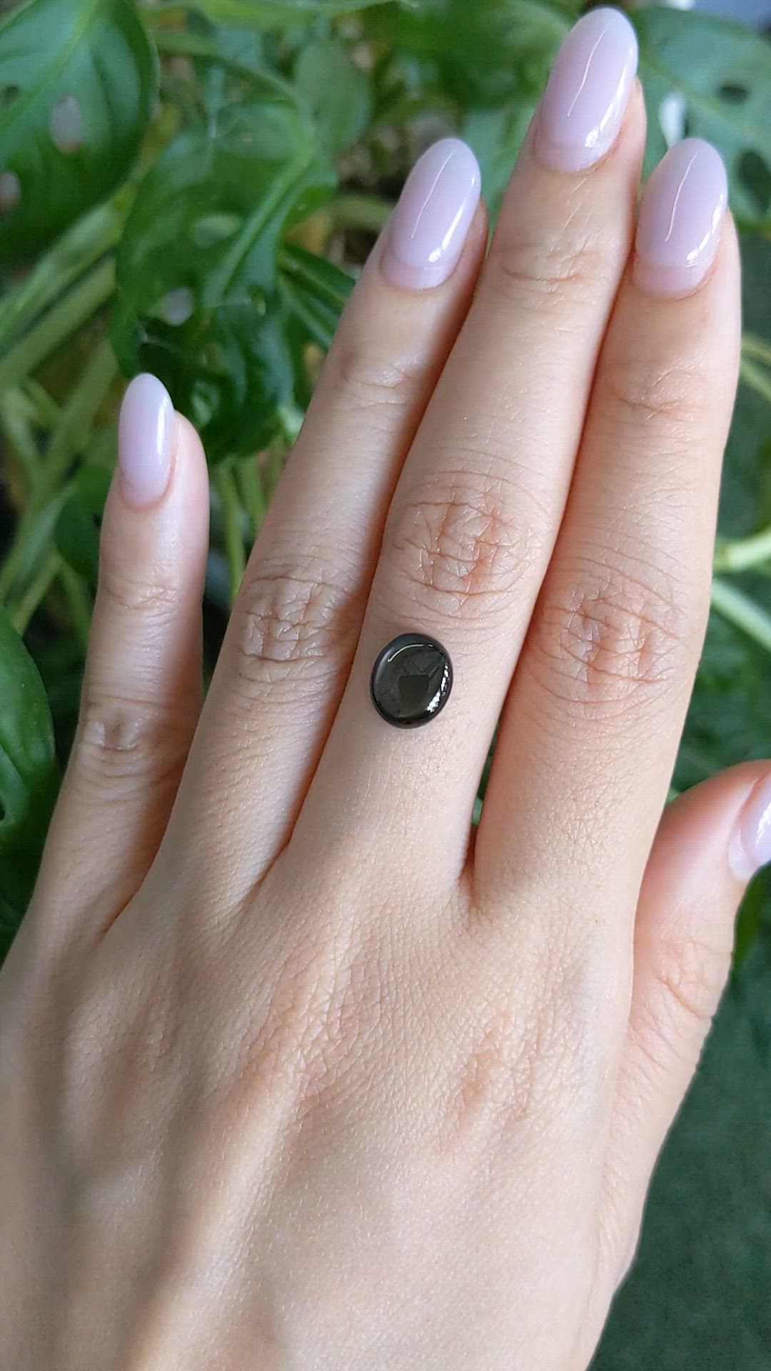 2.44 Ct. Black Star Sapphire from Thailand Size Video
