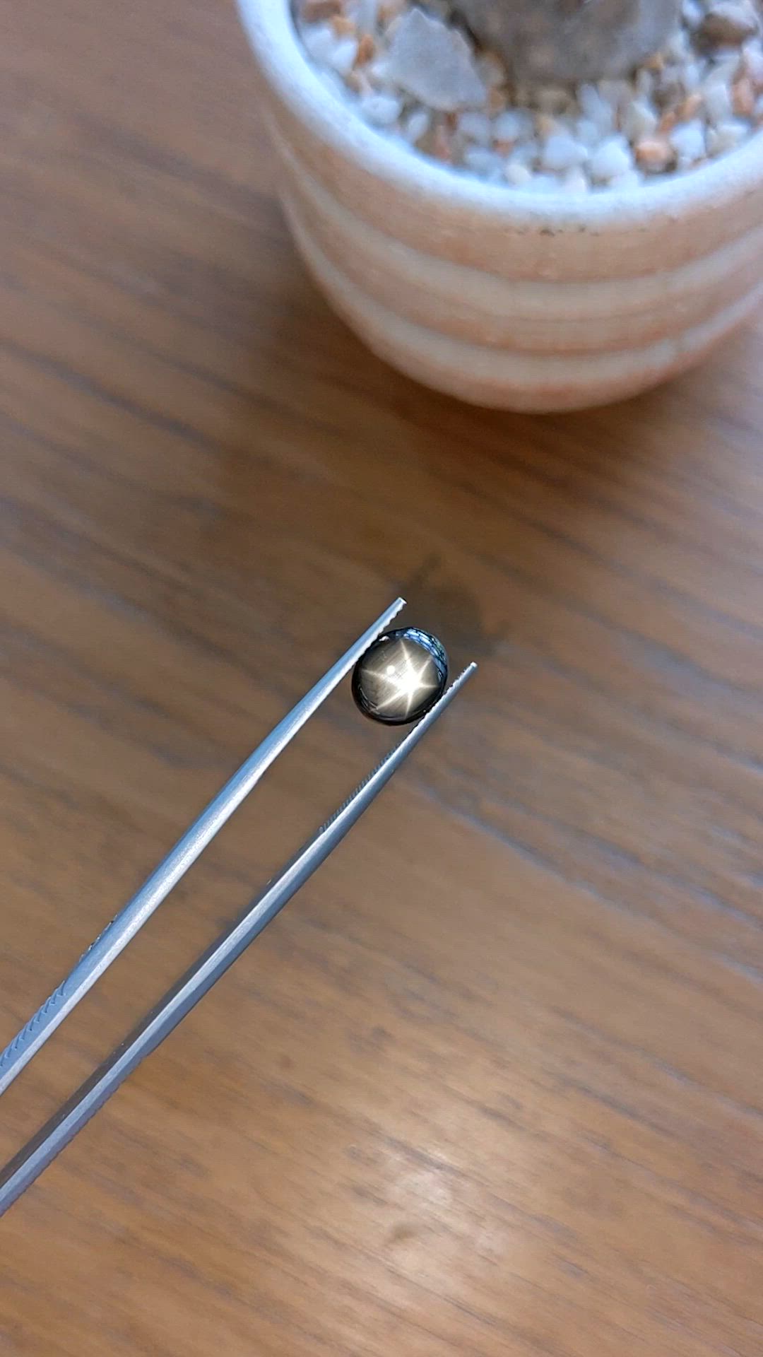 2.44 Ct. Black Star Sapphire from Thailand Size Video