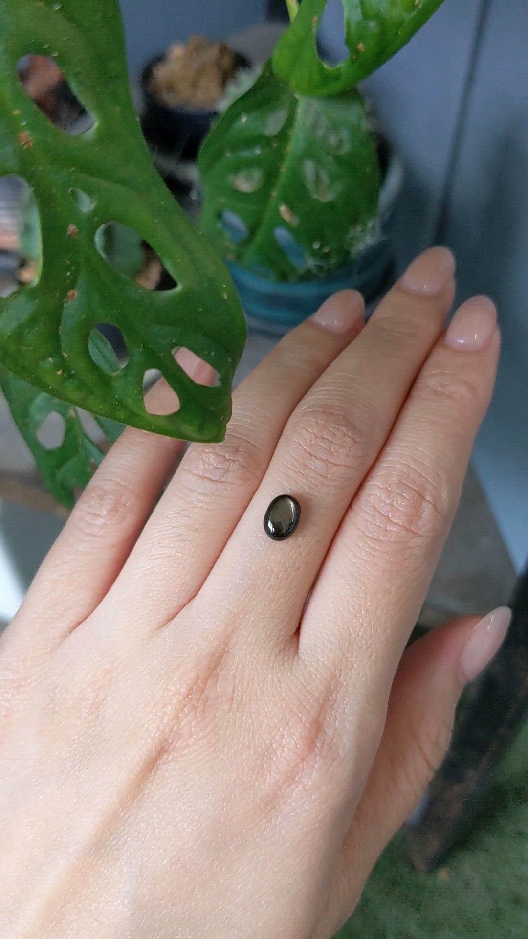 2.00 Ct. Black Star Sapphire from Thailand Size Video