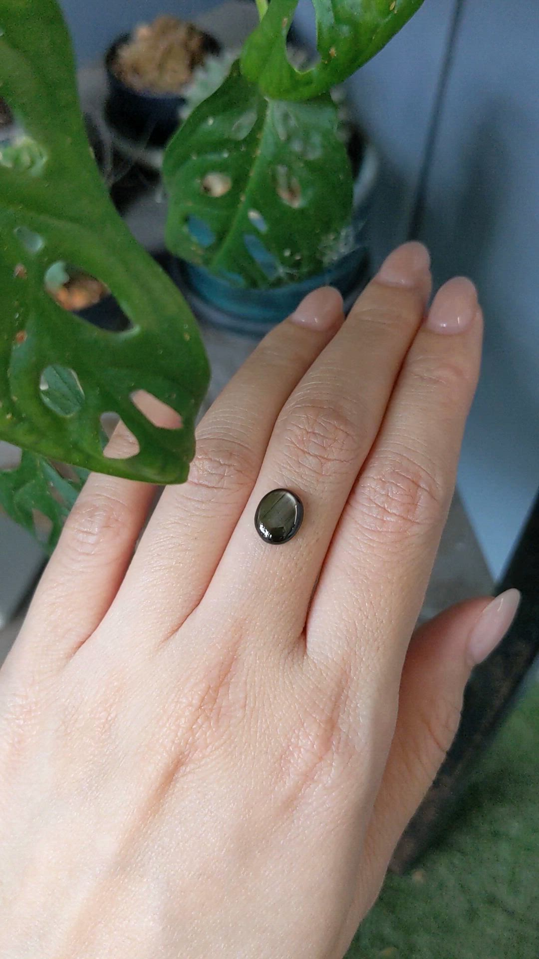 2.48 Ct. Black Star Sapphire from Thailand Size Video