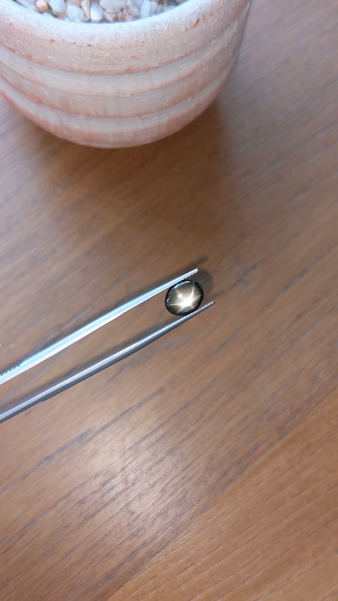 2.48 Ct. Black Star Sapphire from Thailand Size Video
