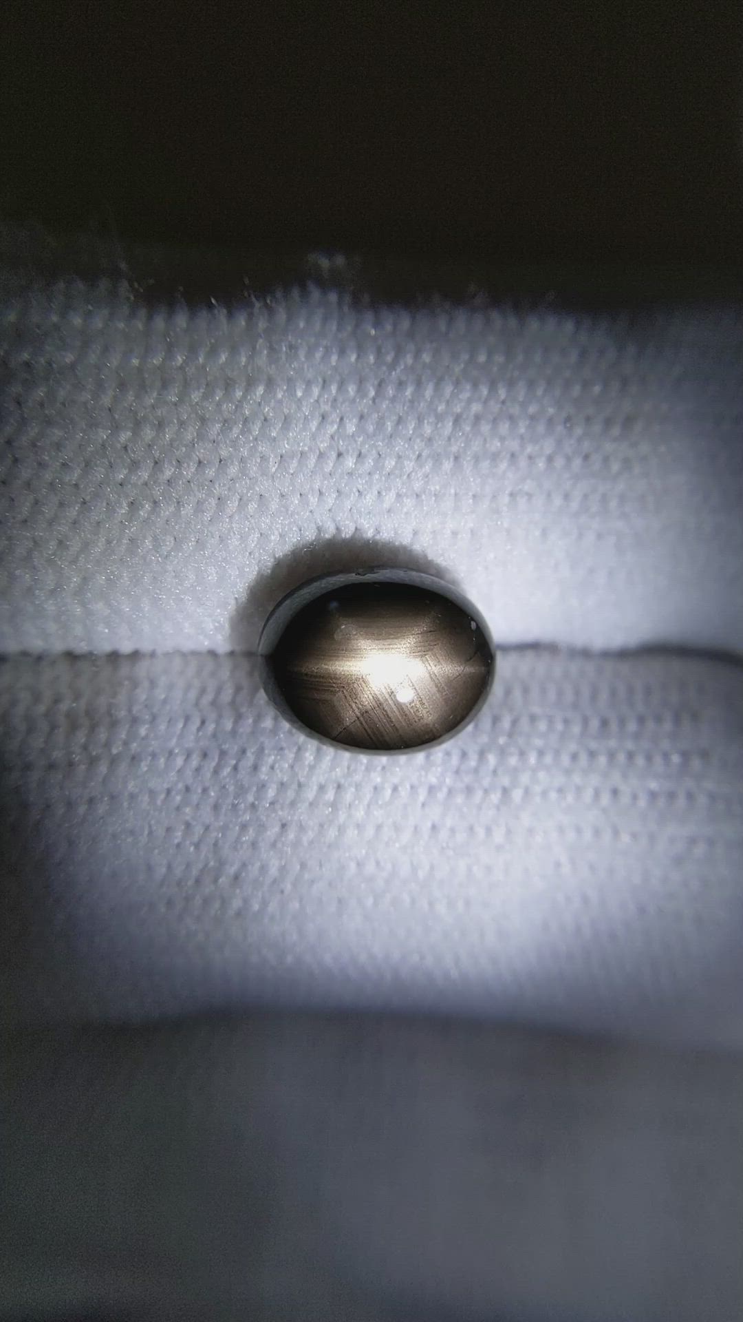 3.84 Ct. Black Star Sapphire from Thailand Size Video