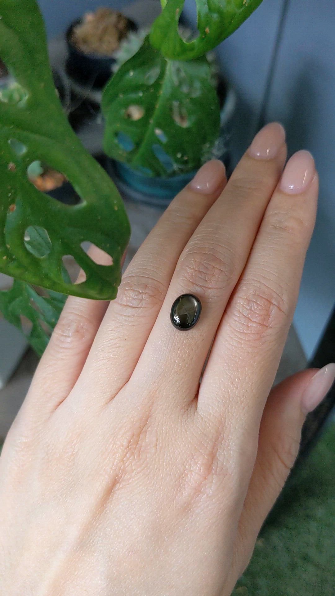 3.84 Ct. Black Star Sapphire from Thailand Size Video