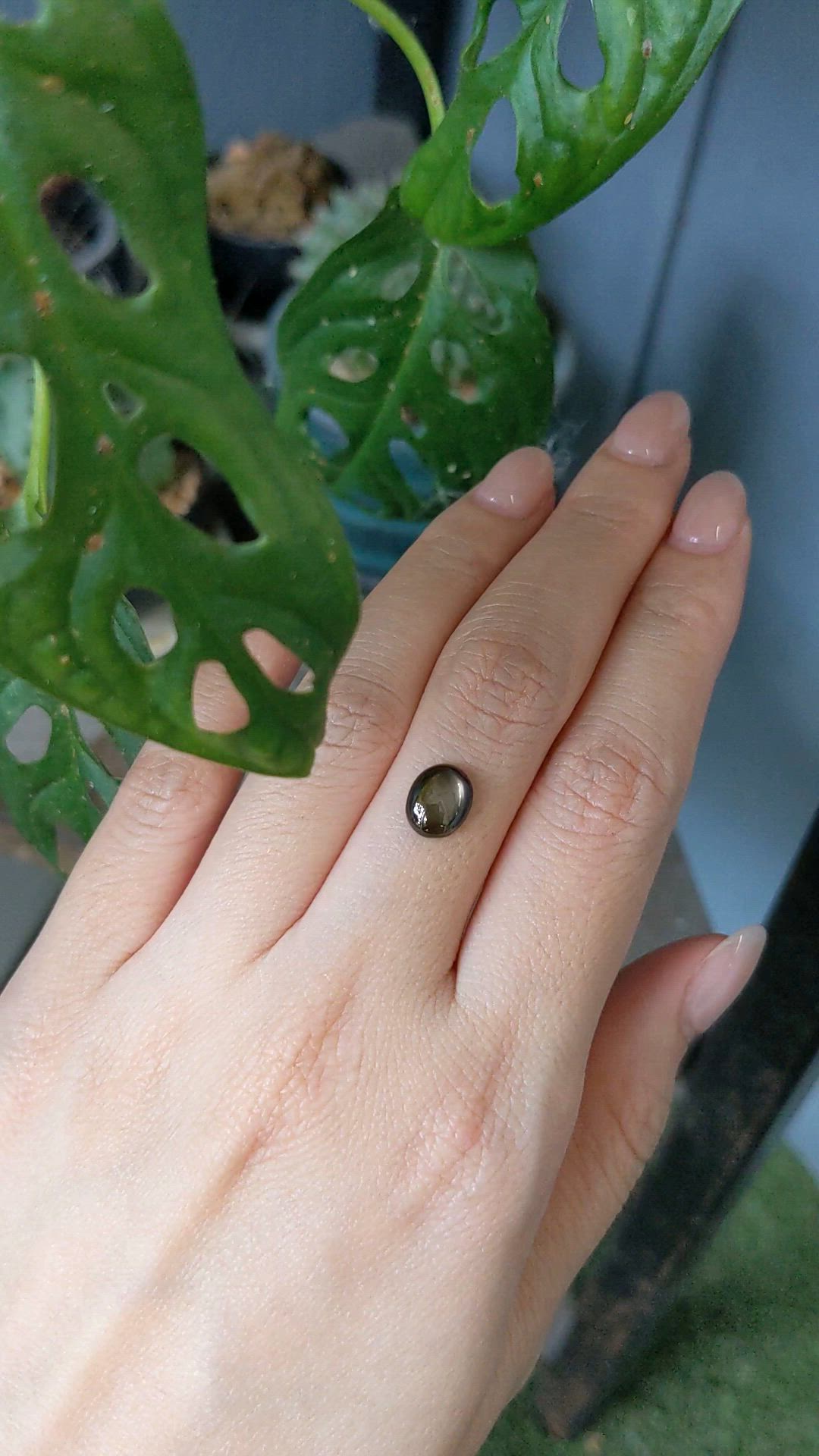 2.09 Ct. Black Star Sapphire from Thailand Size Video