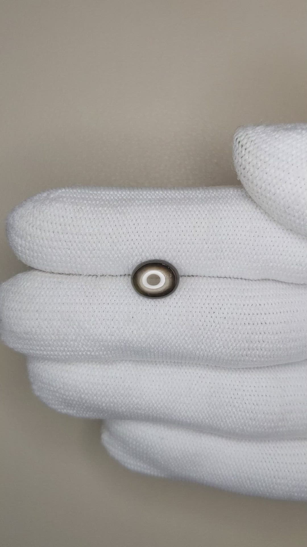 2.09 Ct. Black Star Sapphire from Thailand Size Video