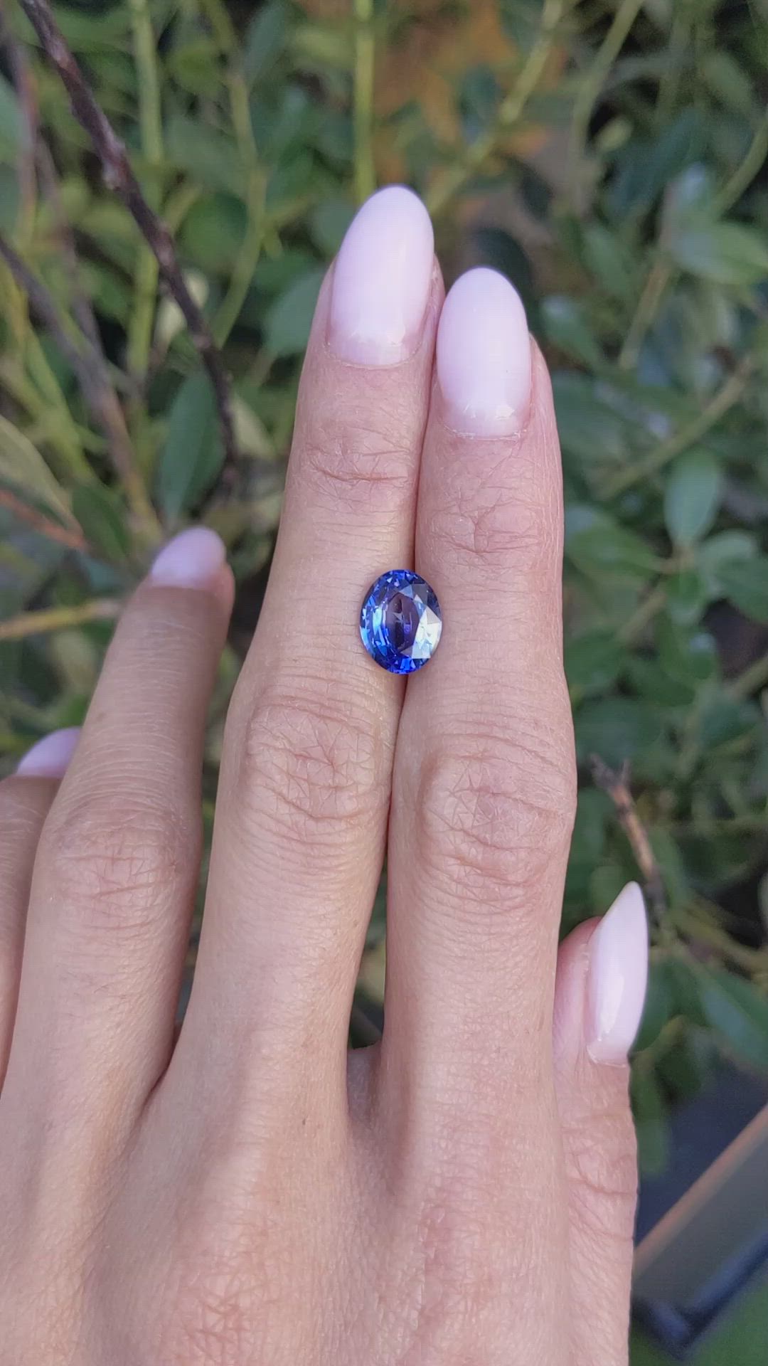2.60 Ct. Blue Sapphire from Ceylon (Sri Lanka) Size Video