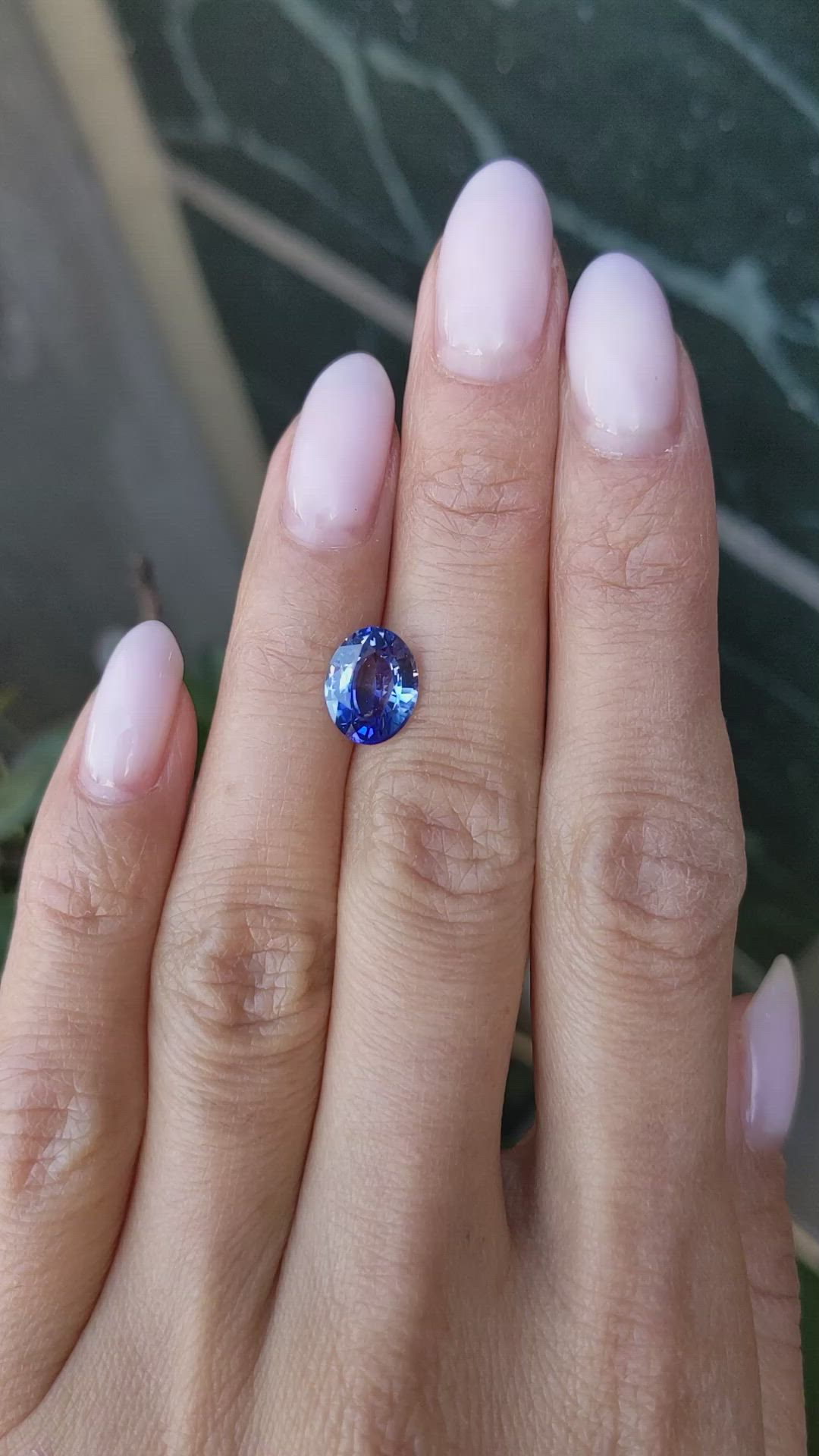 2.60 Ct. Blue Sapphire from Ceylon (Sri Lanka) Size Video