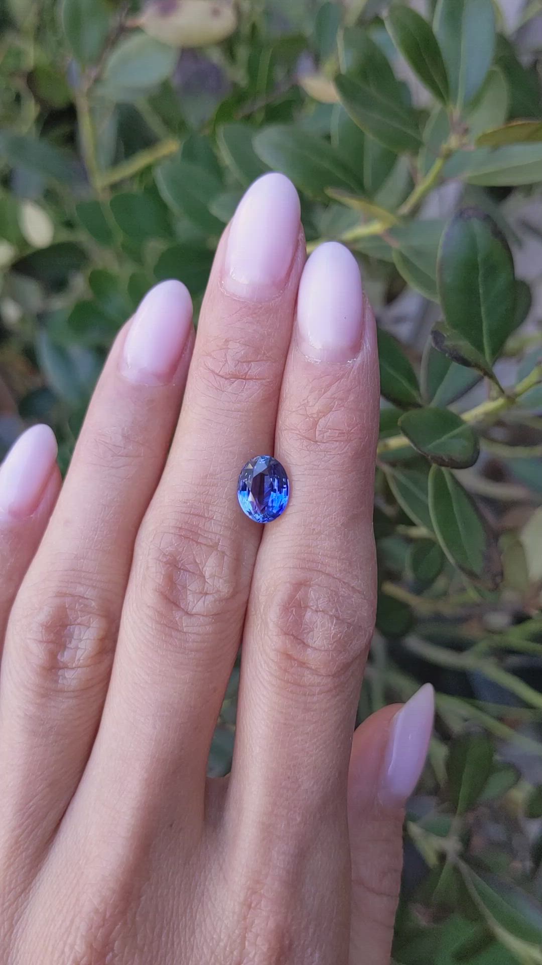 2.46 Ct. Blue Sapphire from Ceylon (Sri Lanka) Size Video