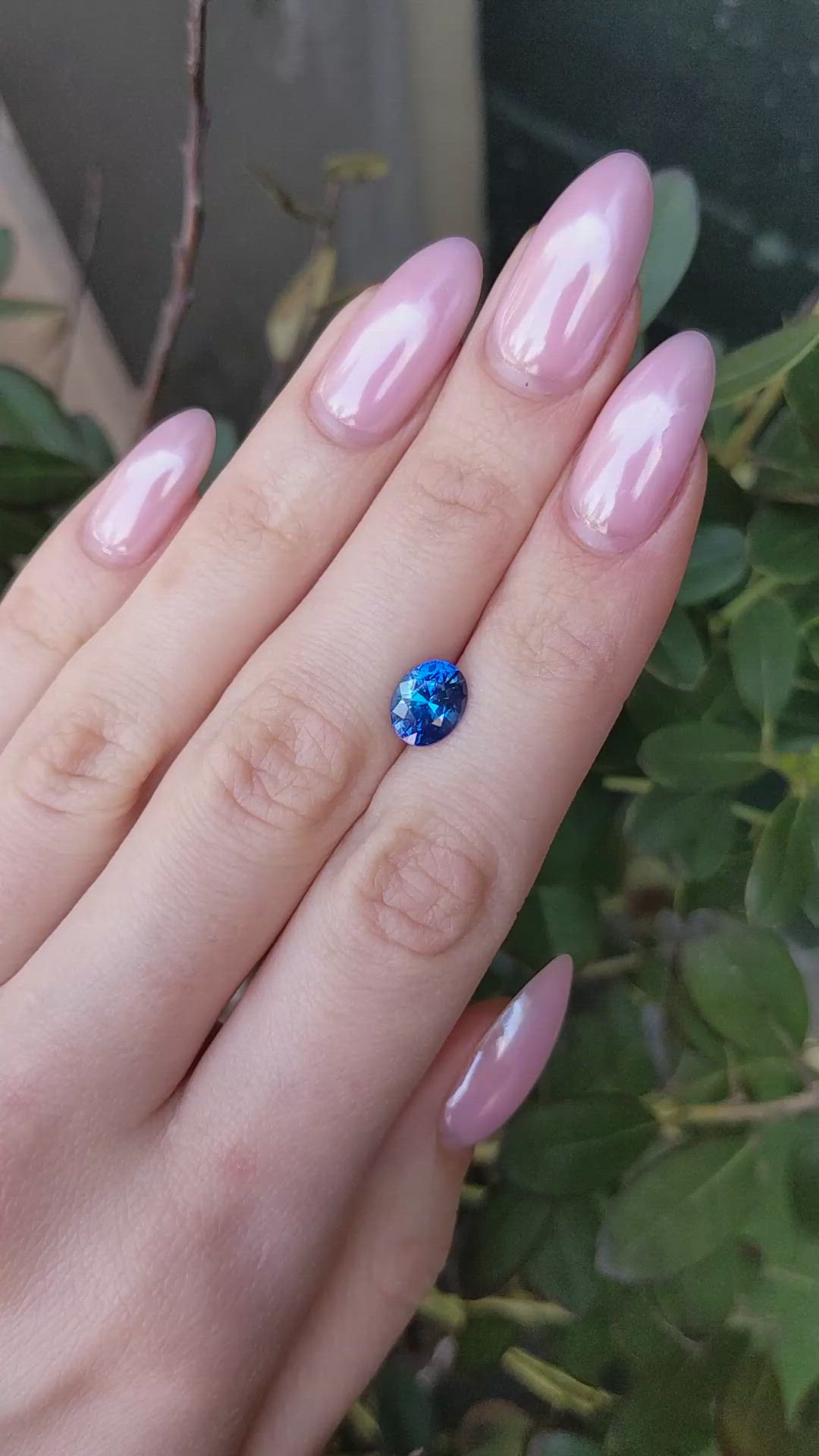 2.41 Ct. Blue Sapphire from Ceylon (Sri Lanka) Size Video