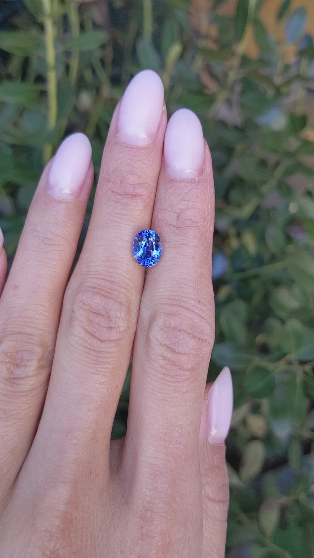 2.30 Ct. Blue Sapphire from Ceylon (Sri Lanka) Size Video