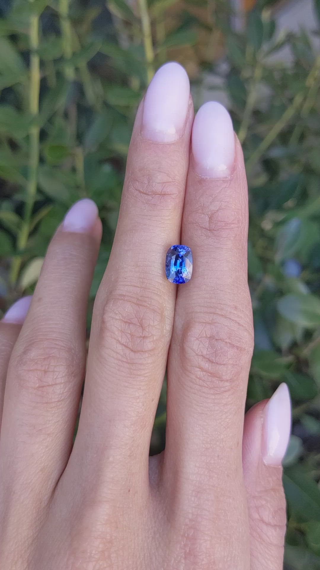 2.23 Ct. Blue Sapphire from Ceylon (Sri Lanka) Size Video