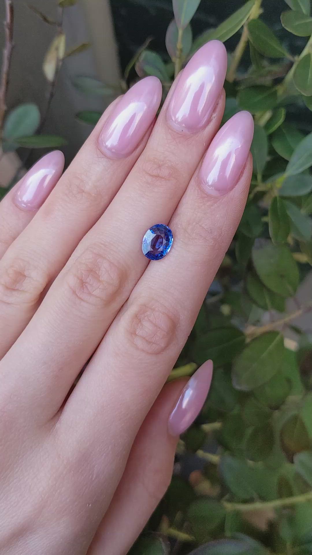 2.27 Ct. Blue Sapphire from Ceylon (Sri Lanka) Size Video