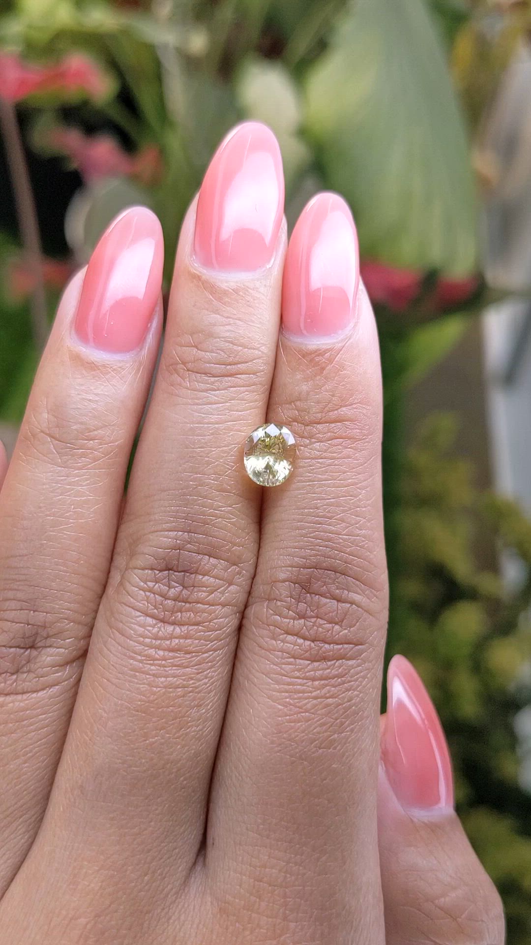 1.64 Ct. Yellow Sapphire from Ceylon (Sri Lanka) Size Video