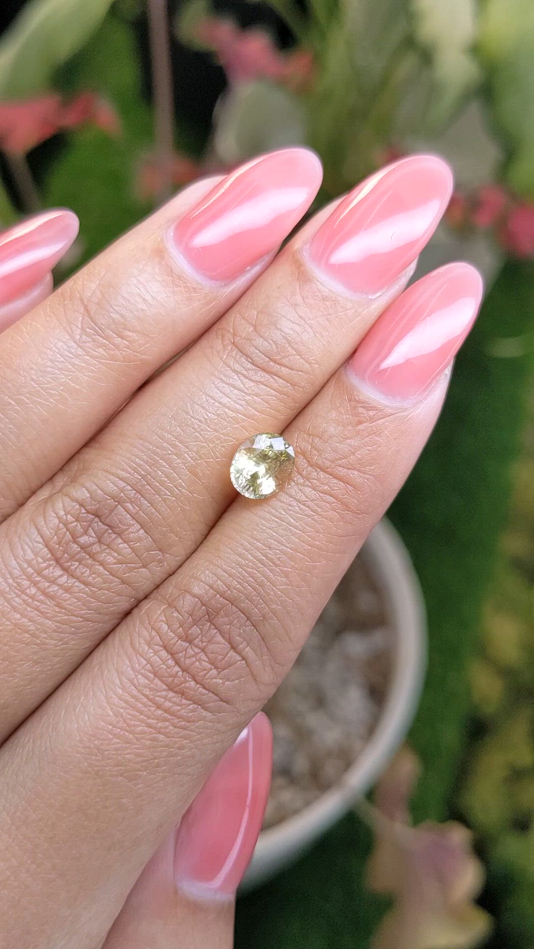 1.64 Ct. Yellow Sapphire from Ceylon (Sri Lanka) Size Video