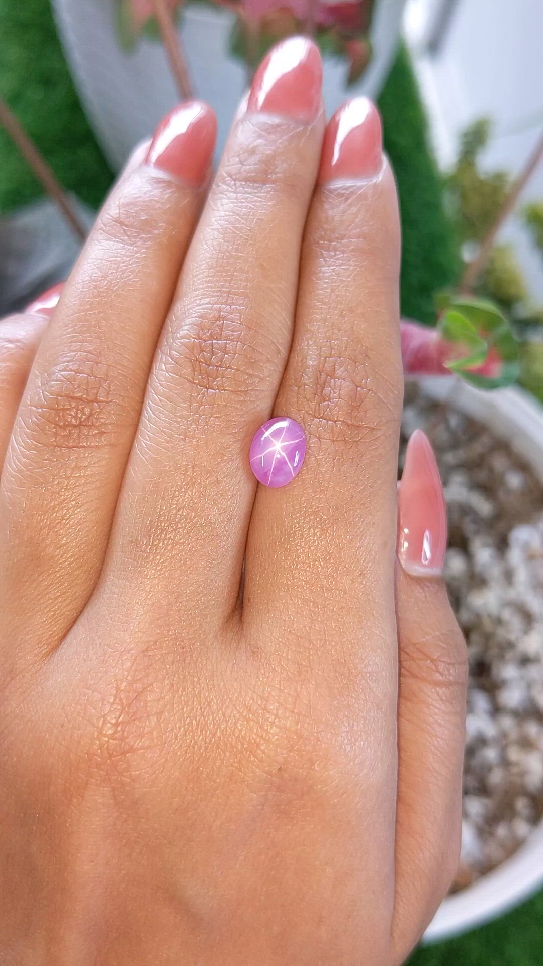 2.58 Ct. Purplish Pink Star Sapphire from Ceylon (Sri Lanka) Size Video